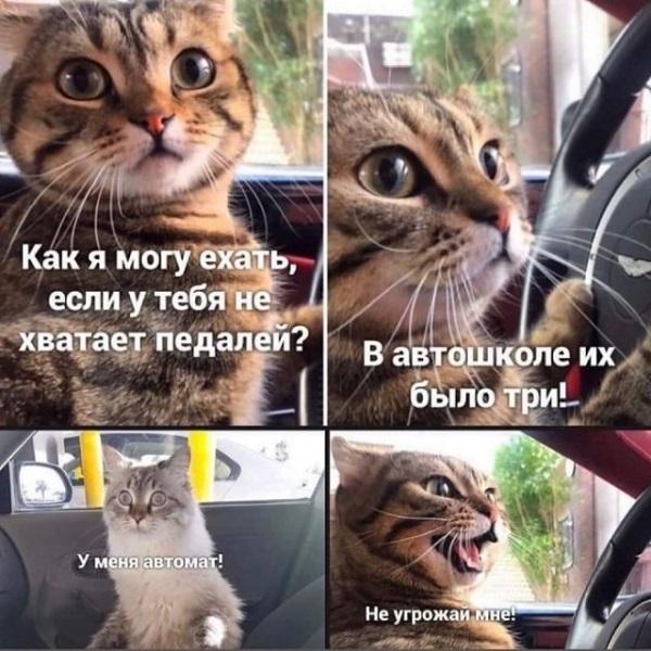 Смешные свежие мемы субботы