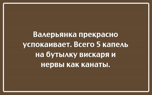 Подробнее о статье Хорошие прикольные до слез шутки