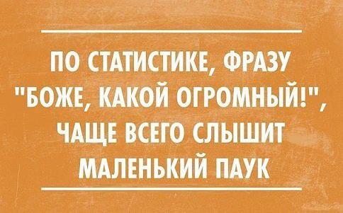 Подробнее о статье Новые ржачные шутки