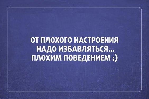 Подробнее о статье Смешные до слез шутки обо всем