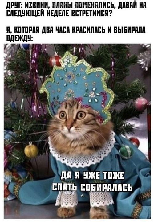 Свежие смешные мемы воскресенья