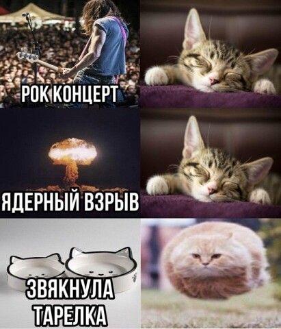 Свежие смешные мемы среды