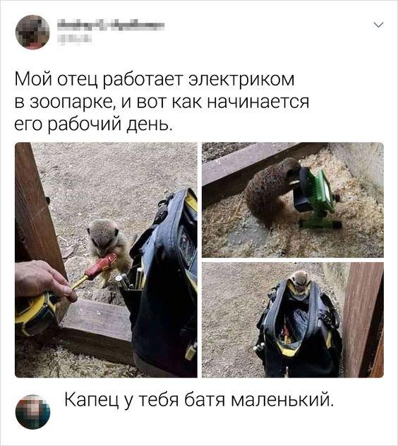 Очень смешные картинки с надписями среды