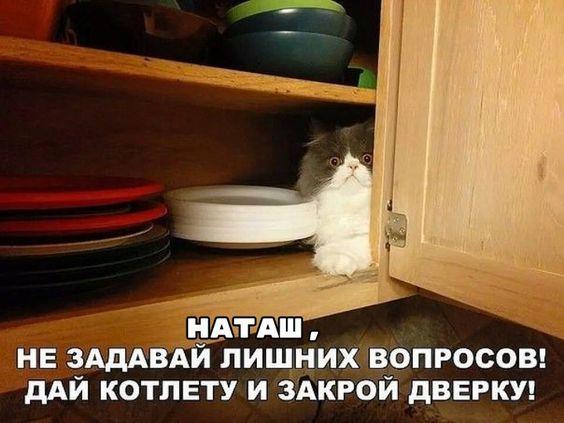 Свежие смешные до слез мемы среды