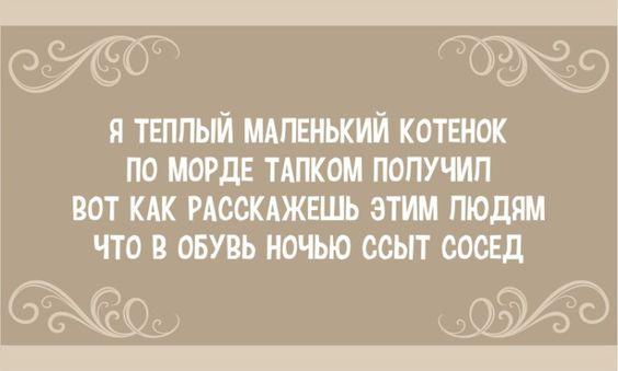 Смешные до слез стишки (картинки)