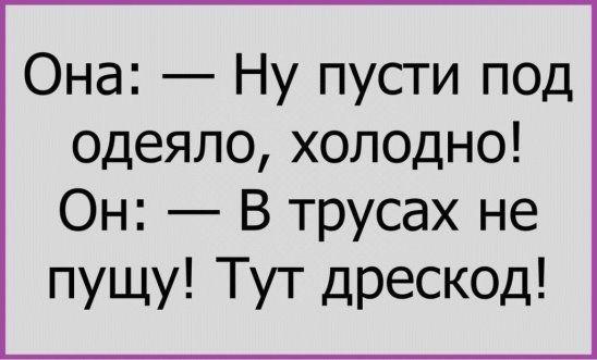 Подробнее о статье Читать свежие очень смешные шуточки