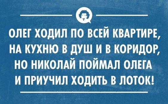 Подробнее о статье Читать свежие ржачные до слез шуточки