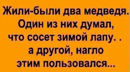 Подробнее о статье Читать свежие забавные шуточки