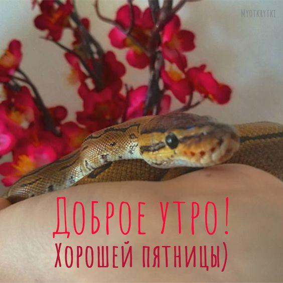 Доброго утра пятницы!