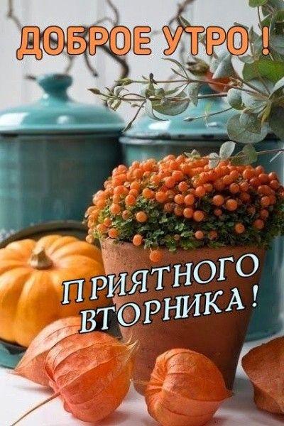 Доброго утра вторника!