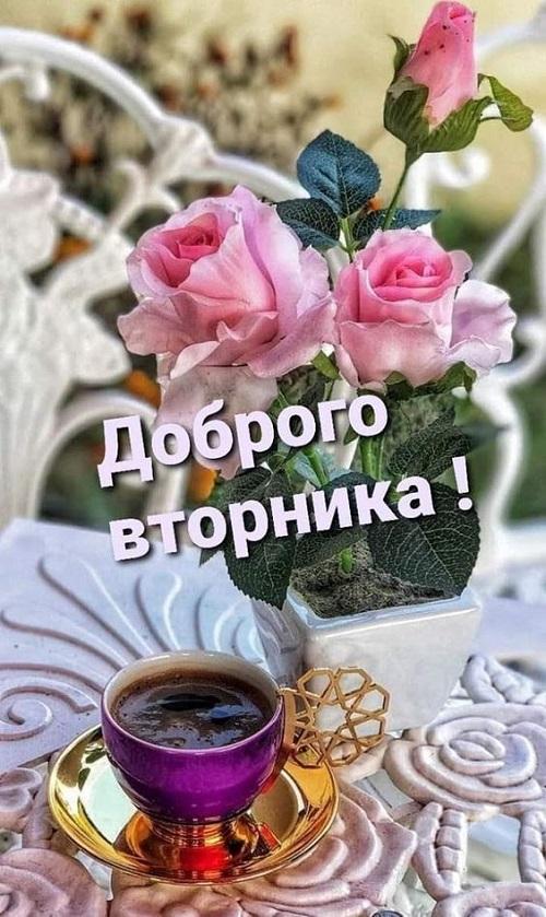 Доброго дня вторника!