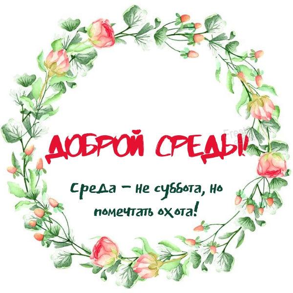 Доброй среды!