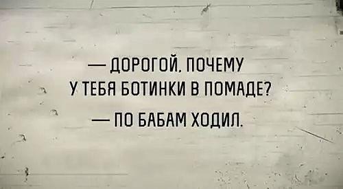 Подробнее о статье Свежие очень смешные шутки среды