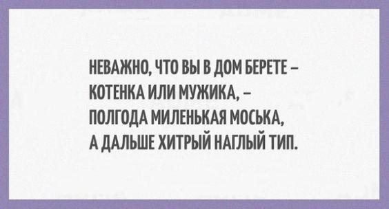 Подробнее о статье Свежие очень смешные шутки вторника