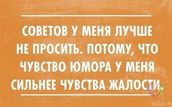 Подробнее о статье Свежие смешные шутки понедельника