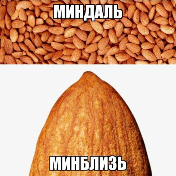 Свежие самые смешные мемы среды