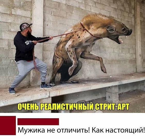 Ржачные картинки с надписями воскресенье