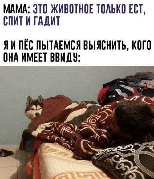 Свежие прикольные до слез мемы вторника