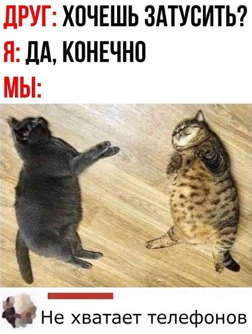 Свежие ржачные мемы вторника