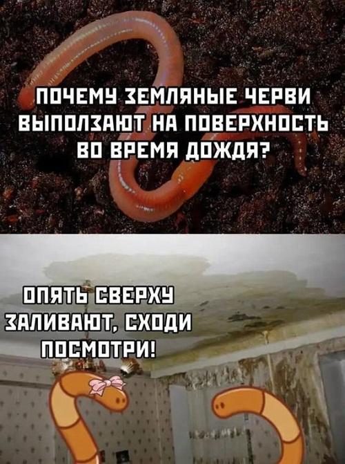 Свежие ржачные до слез мемы среды