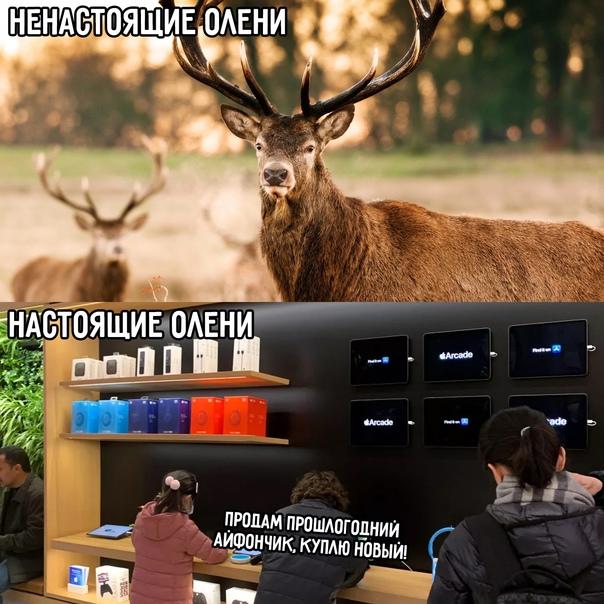 Свежие ржачные до слез мемы четверга