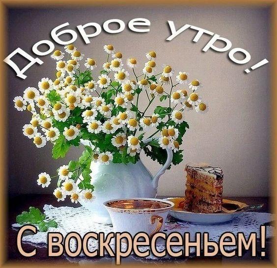 Подробнее о статье Доброго утра воскресенья!