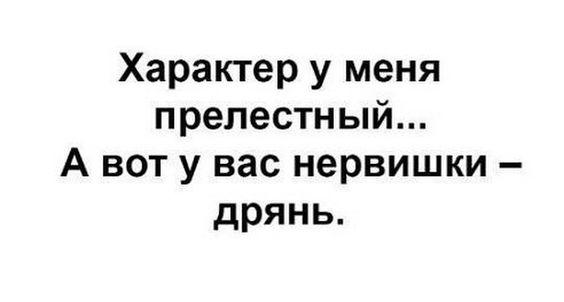 Подробнее о статье Новые ржачные шуточки