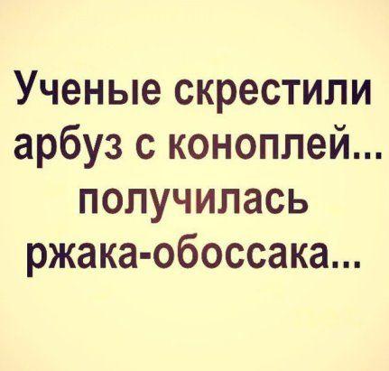 Подробнее о статье Свежие прикольные до слез шутки пятницы