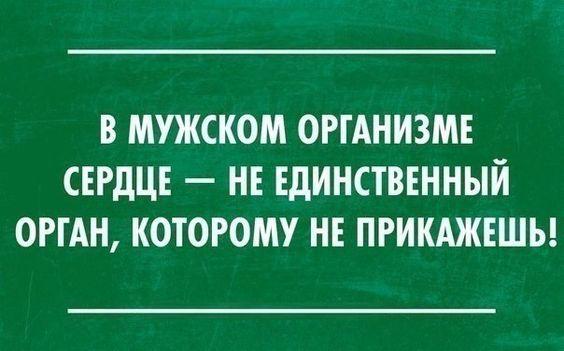 Подробнее о статье Свежие самые смешные шутки и фразы