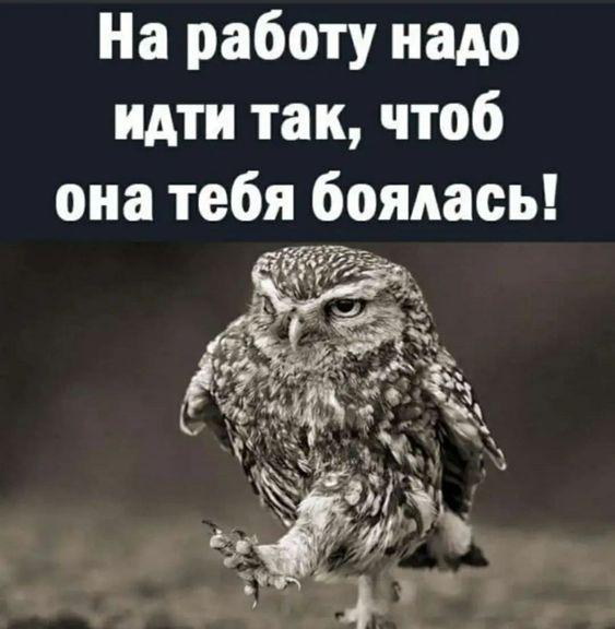 Подробнее о статье Улетные картинки с надписями четверга