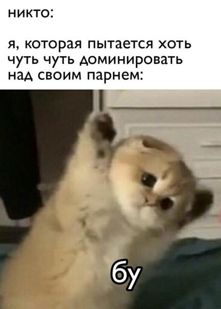 Свежие лучшие мемы среды