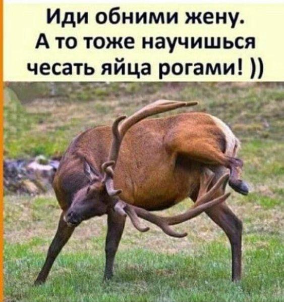 Свежие лучшие мемы среды