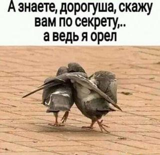 Свежие лучшие мемы среды