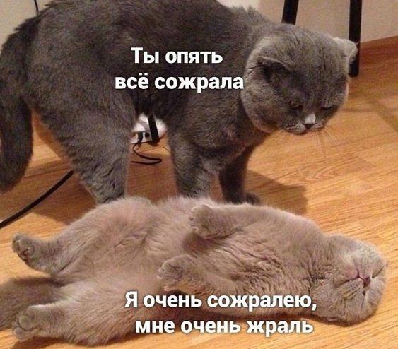 Свежие лучшие мемы пятницы