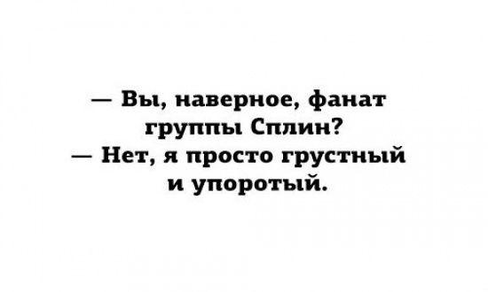 Подробнее о статье Свежие веселые шутки воскресенья