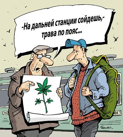 Анекдоты - картинки про нариков