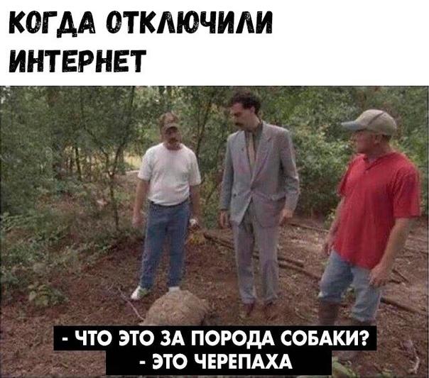 Свежие хорошие мемы вторника