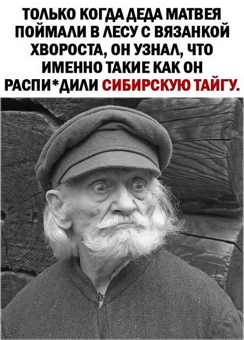 Свежие хорошие мемы вторника