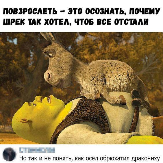 Свежие хорошие мемы вторника