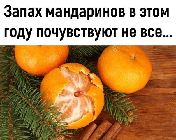 Свежие хорошие мемы среды