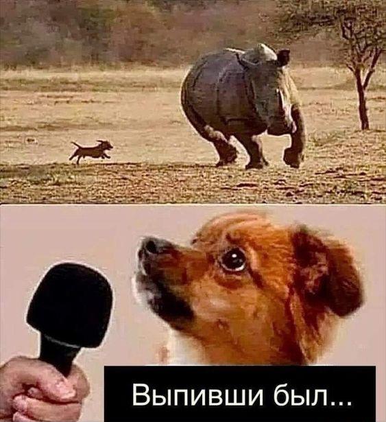 Свежие улетные мемы понедельника