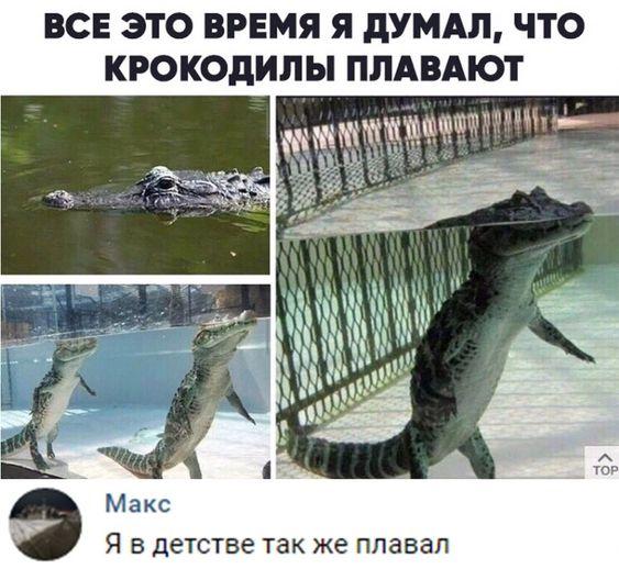 Свежие улетные мемы вторника