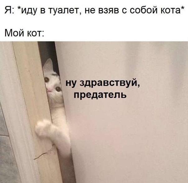 Свежие улетные мемы субботы