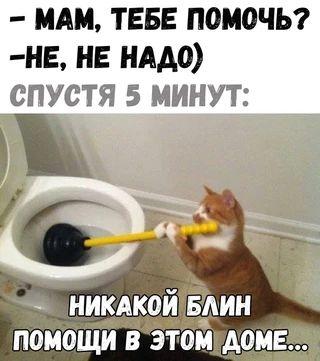 Свежие убойные мемы вторника