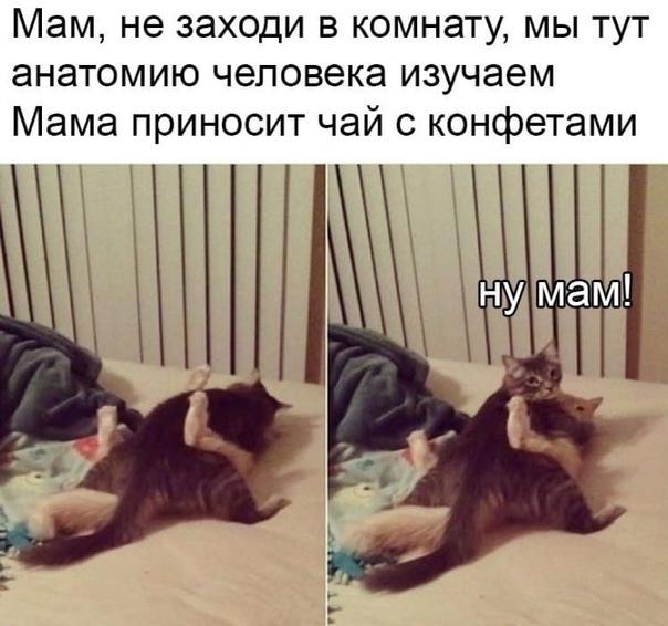 Свежие угарные мемы воскресенья