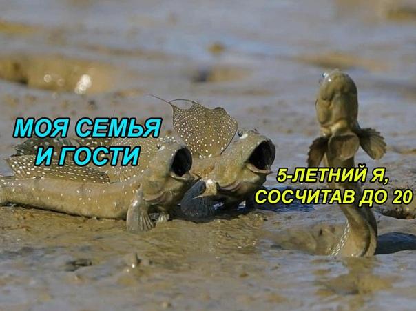 Свежие угарные мемы воскресенья