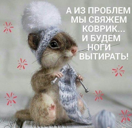 Свежие угарные мемы вторника