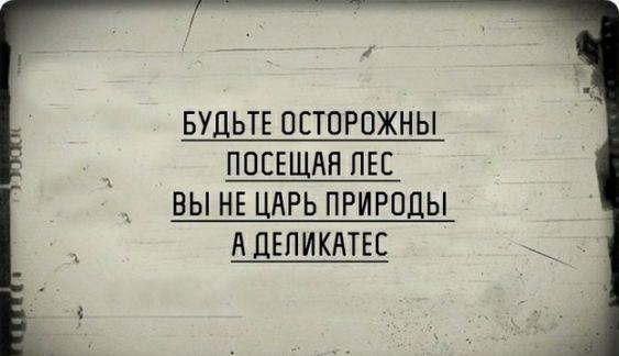 Подробнее о статье Картинки с новыми забавными шутками