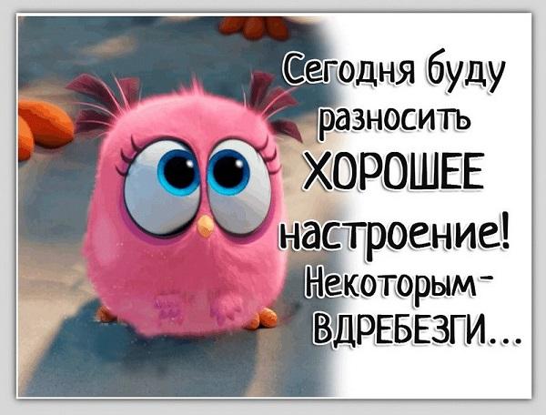 Подробнее о статье Прикольные и не очень картинки — статусы