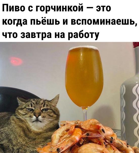 Новые мемы пятницы